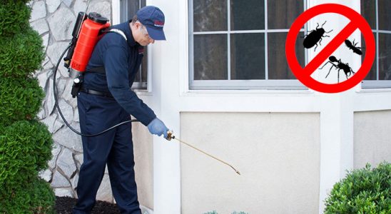 Ağlı Dezenfeksiyon böcek ilaçlama ve haşere kontrolü — ilaclama-tr.com